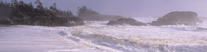 waves on the beach